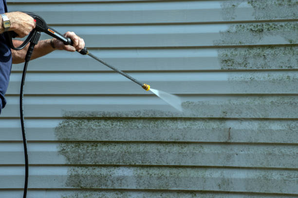 Best Roof Washing  in Wilton, IA