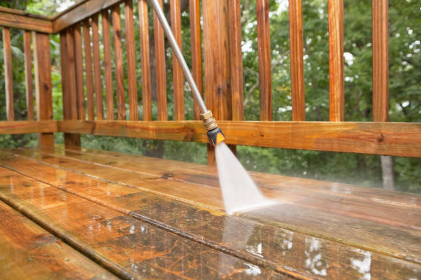 Best Dumpster Area Cleaning  in Wilton, IA